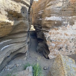 IMG 0914