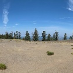 IMG 9955