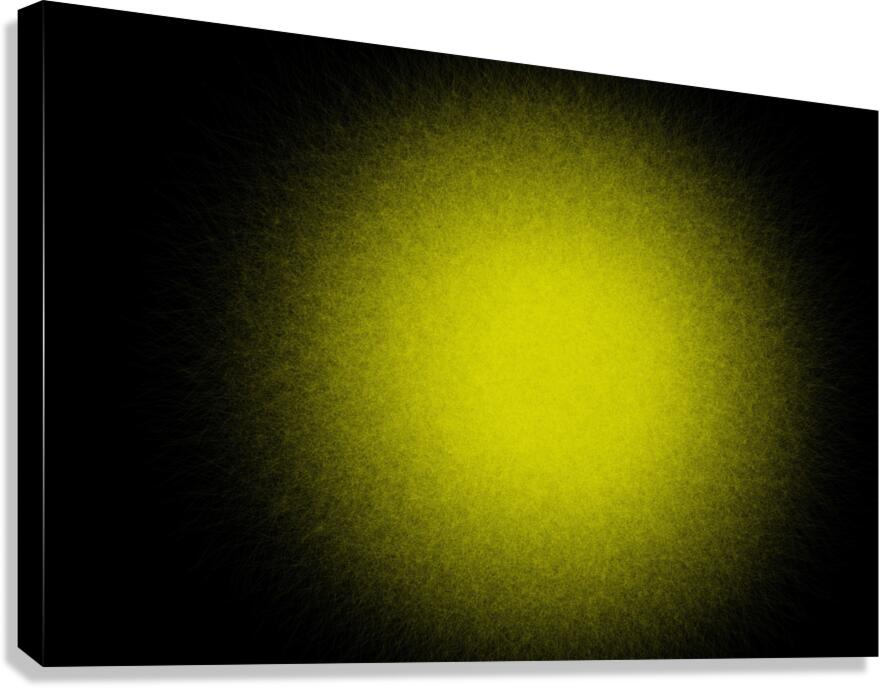 blaze 2 Canvas Print