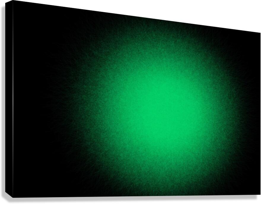 blaze 8 Canvas Print