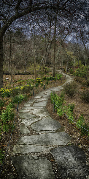 path Print