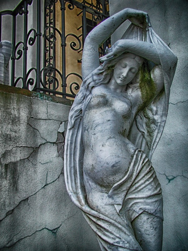 venus  Print