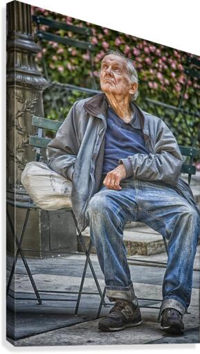 looking up Canvas Print