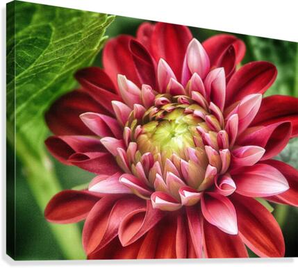 the hidden Canvas Print