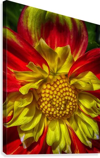 victorian lady Canvas Print