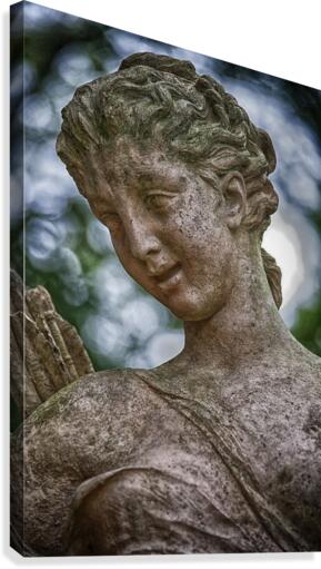 diana Canvas Print