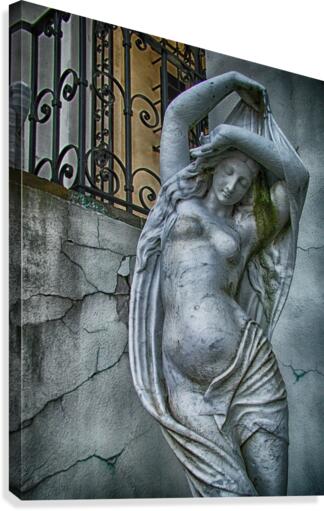 venus  Canvas Print