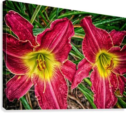 flower three Canvas Print