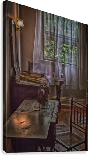 interior 2 Canvas Print