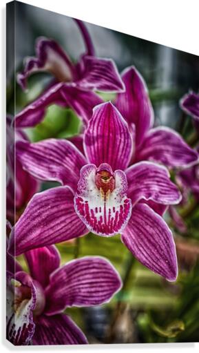 flower 12 Canvas Print