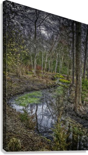 stream Canvas Print