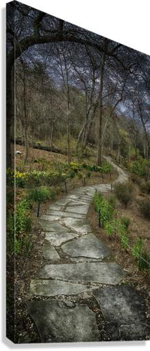 path Canvas Print
