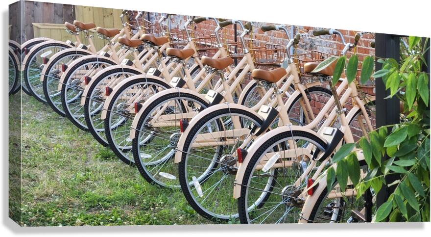 Peachy Bikes Canvas Print