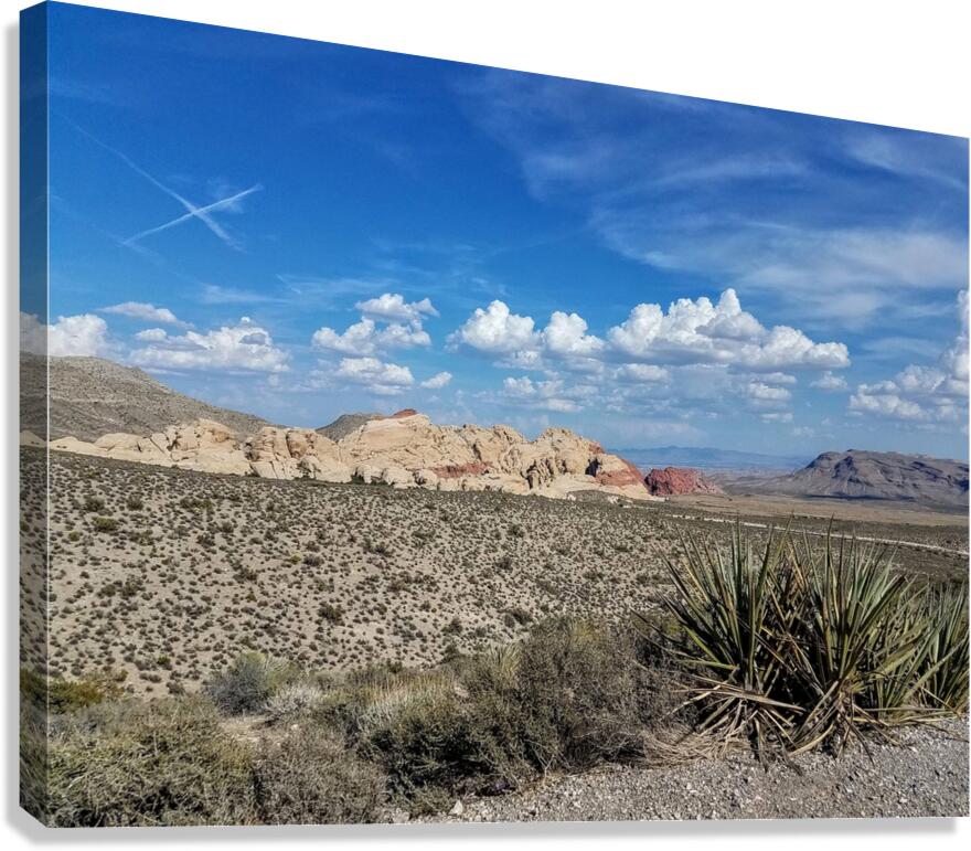 Off The Strip Canvas Print