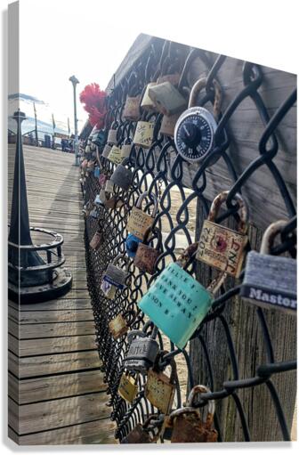 Love Locks Canvas Print