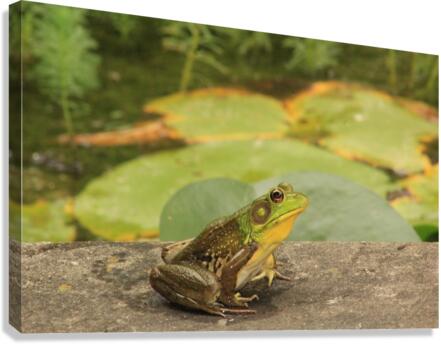 My Prince Canvas Print