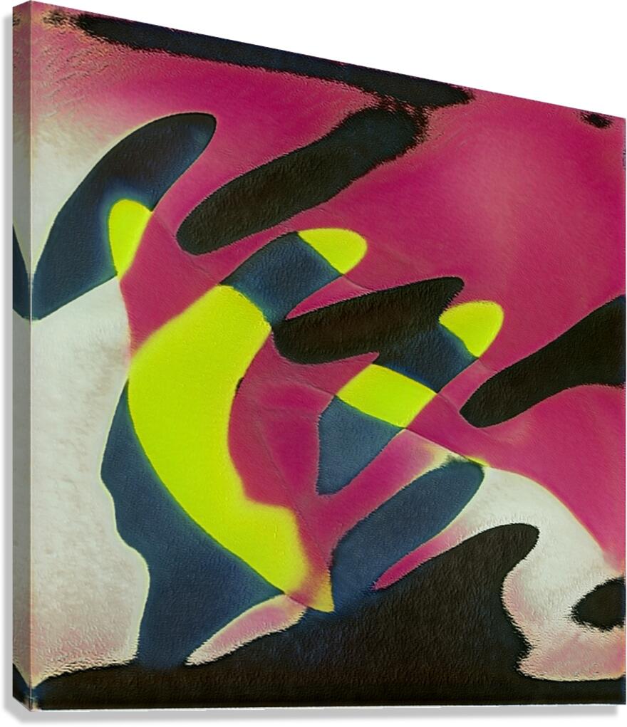 63 8K Canvas Print