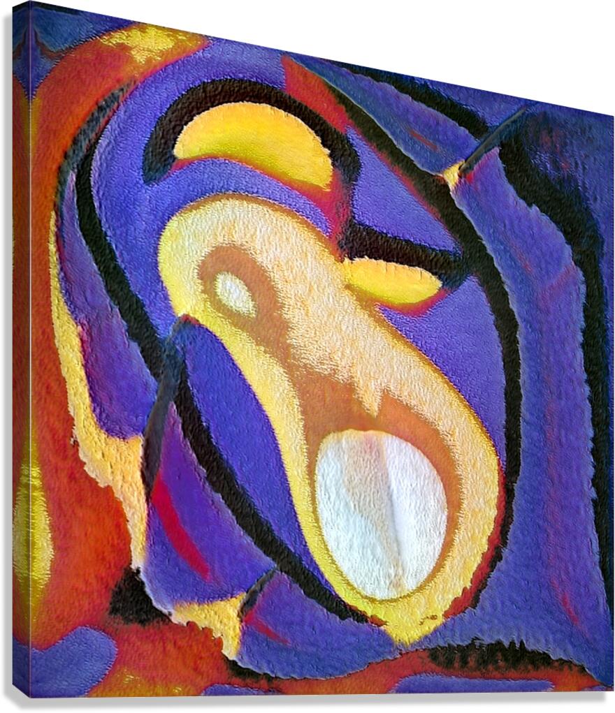 565 8K Canvas Print