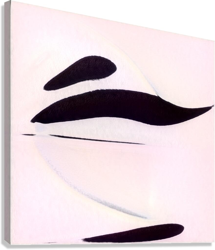 1925 8K Canvas Print