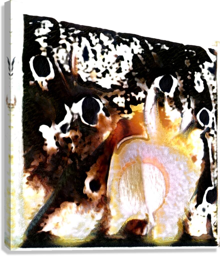 2317 8K Canvas Print