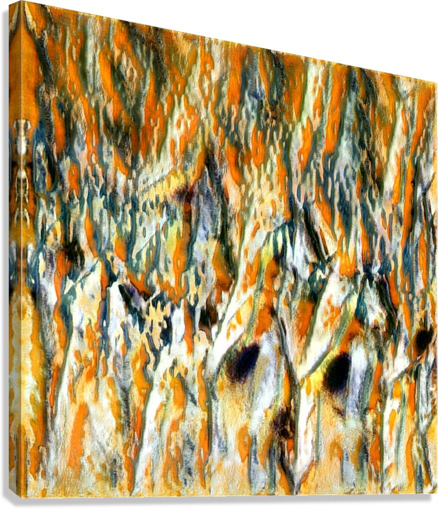 2335 8K Canvas Print