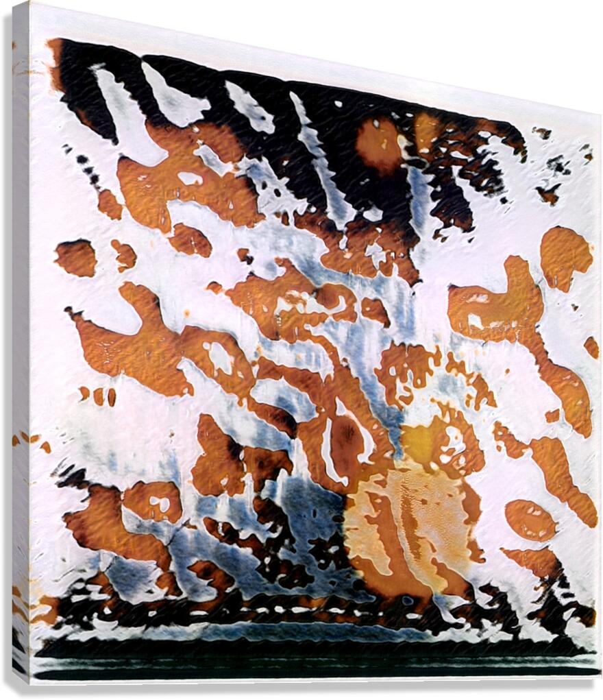 2456 8K Canvas Print
