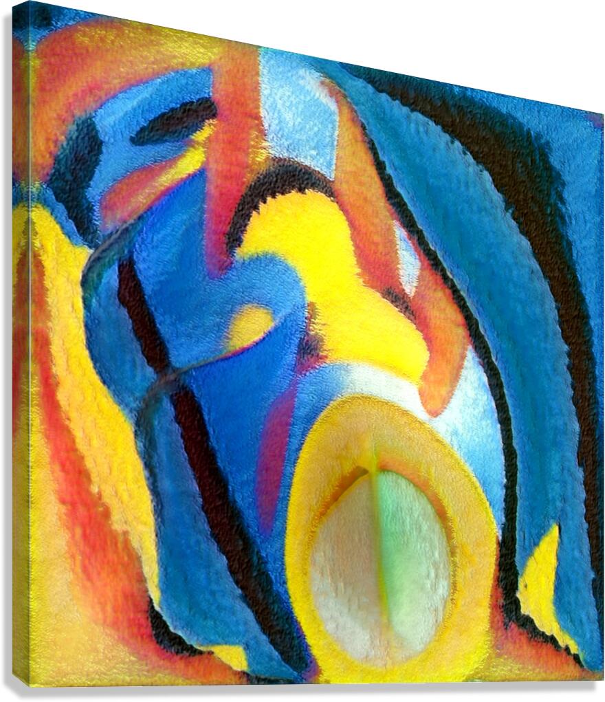 2446 8K Canvas Print