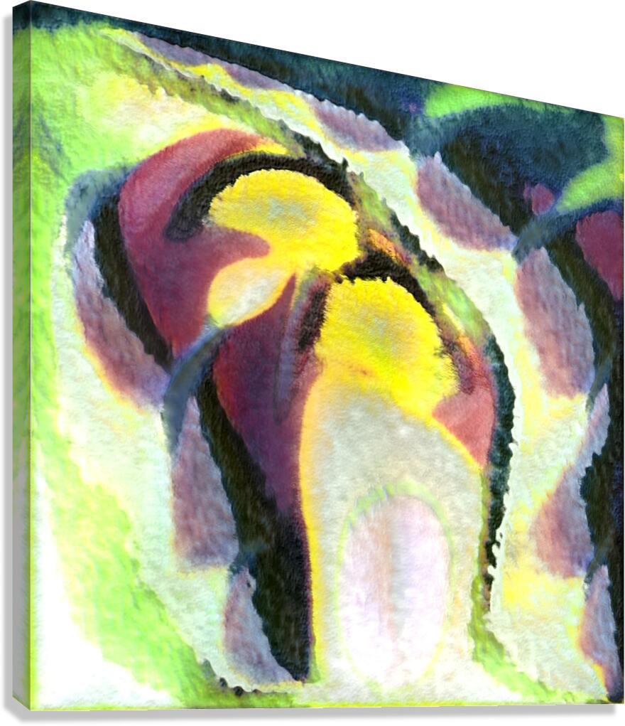 2466 8K Canvas Print