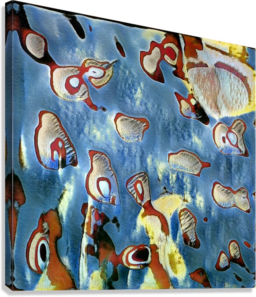2459 8K Canvas Print