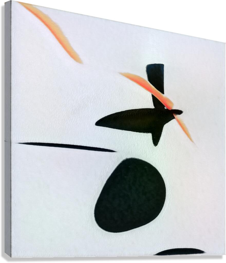 2517 8K Canvas Print