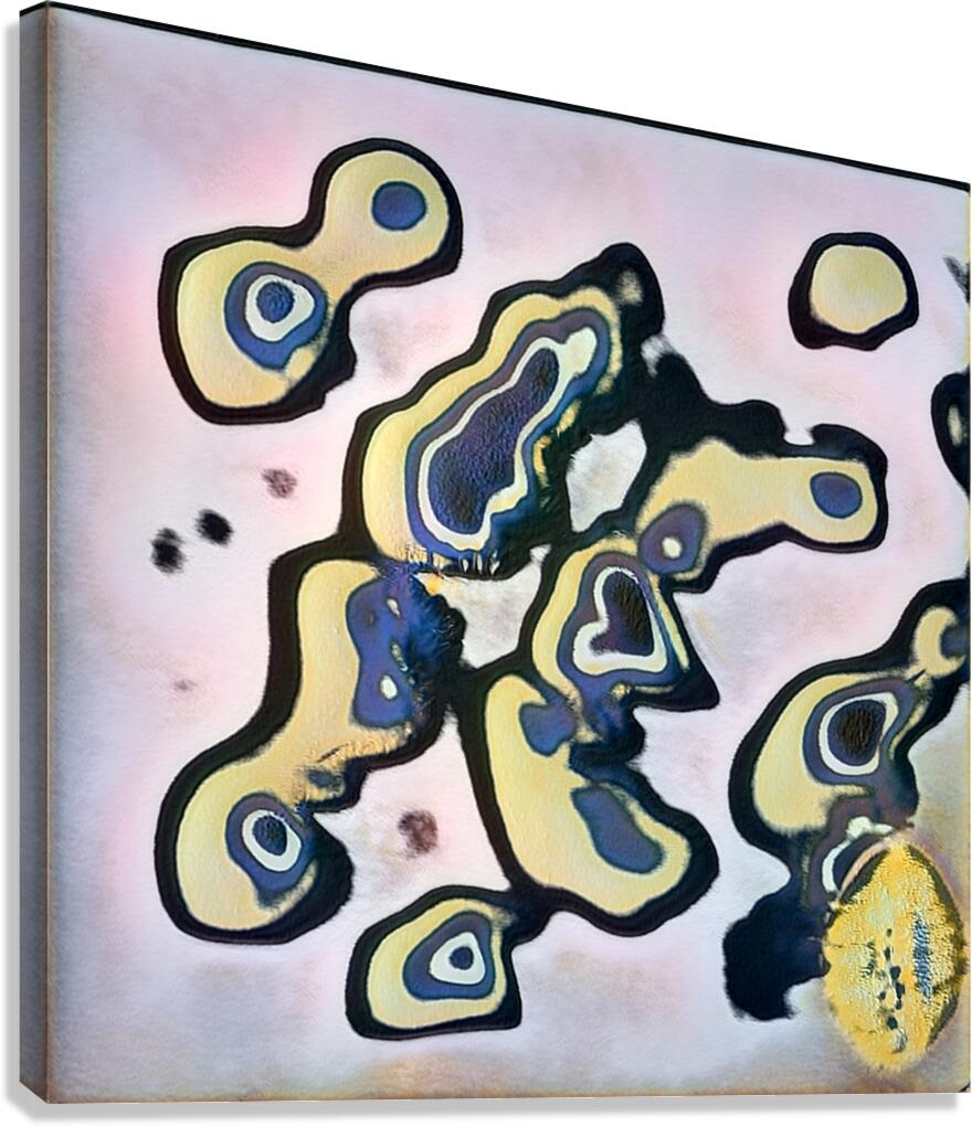 2669 8K Canvas Print
