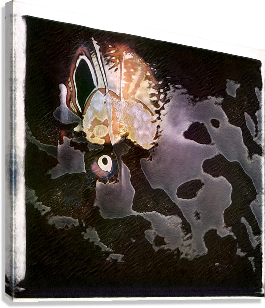 2794 8K Canvas Print