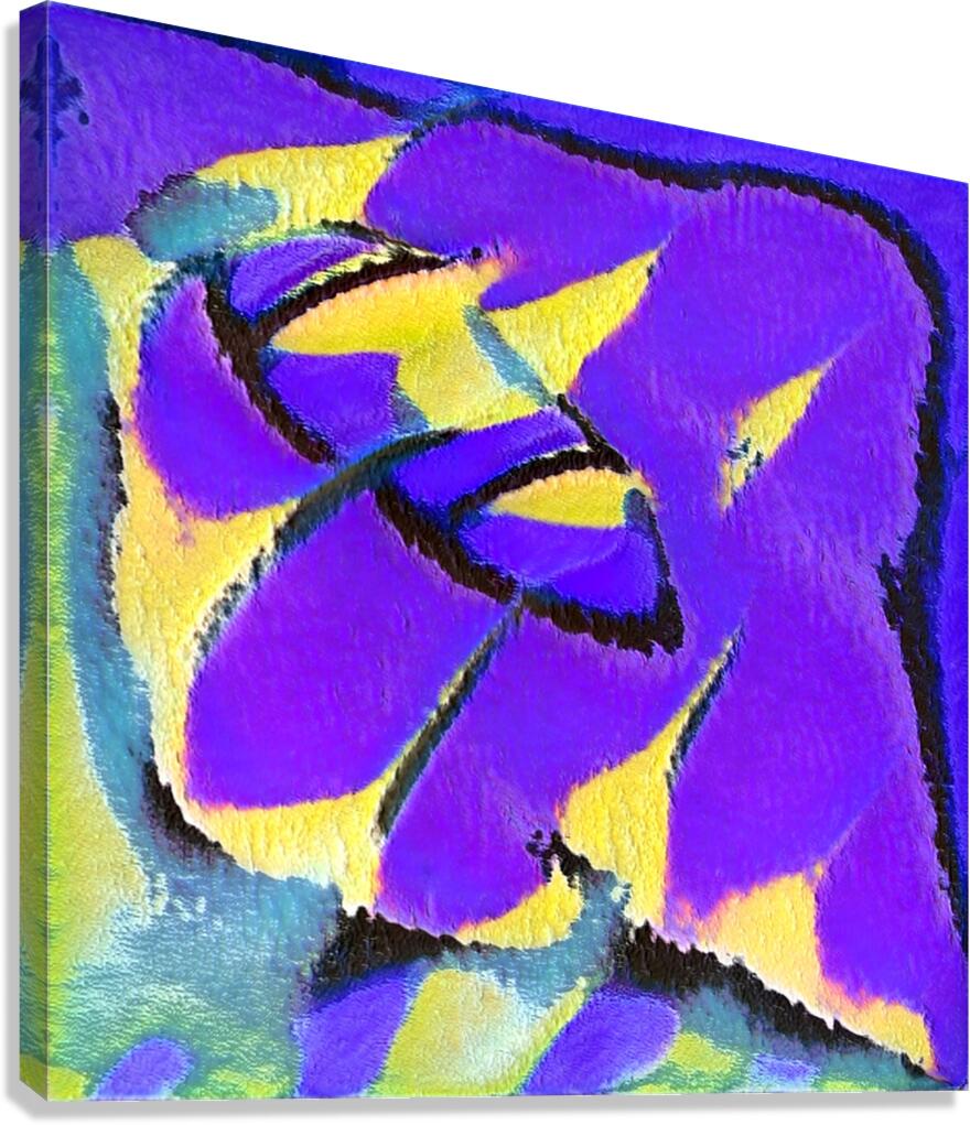 2982 8K Canvas Print
