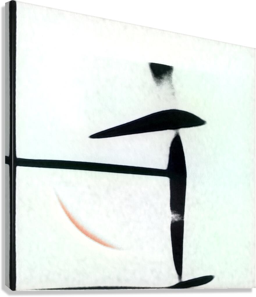 3461 8K Canvas Print