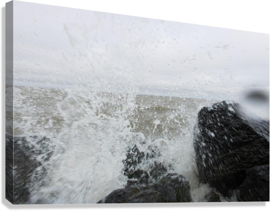 Arctic Splash Canvas Print