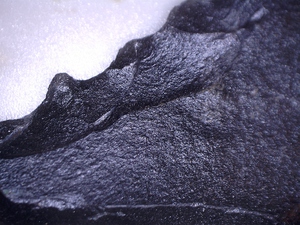 Obsidian h 3