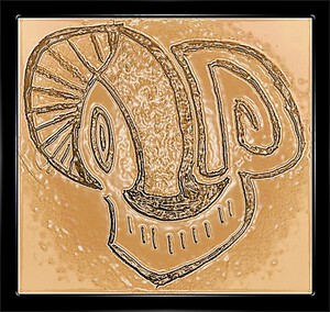 Skull a