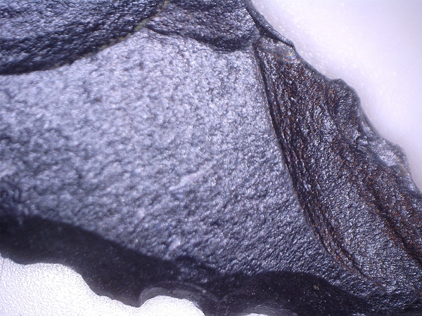 Obsidian h 2 Print