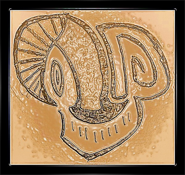 Skull a Print