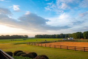 Farm 4