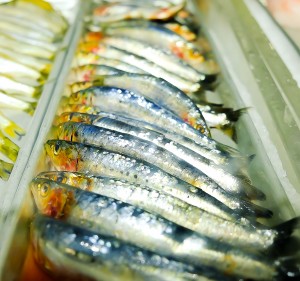 Sardines Fish Market