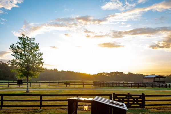 Farm 2 Print