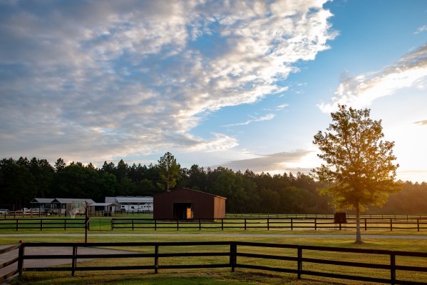 Farm 3 Print