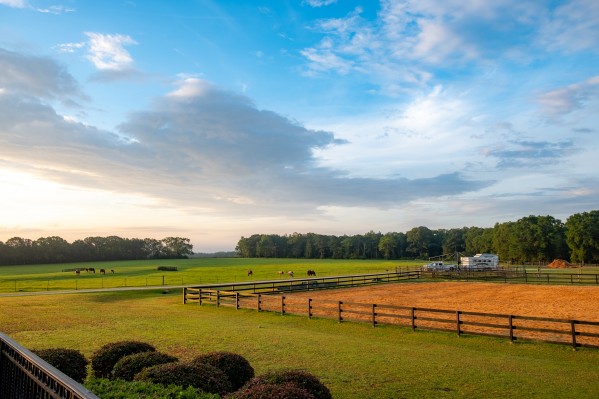 Farm 4 Print