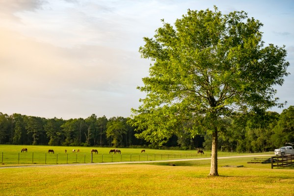 Farm 7 Print