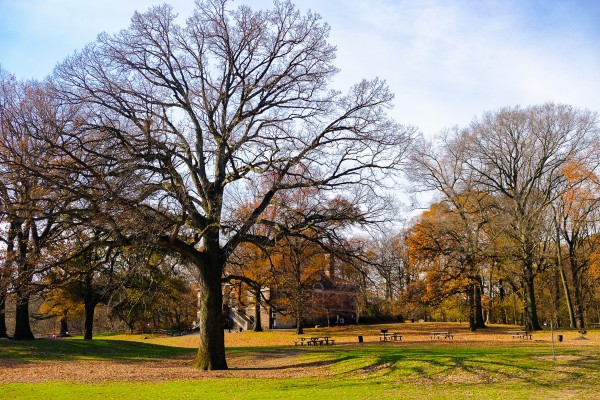 Prospect Park Print