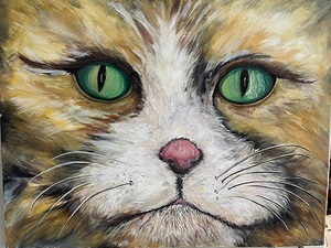 Sublime Feline