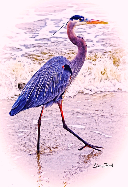 The Beach Walker Print