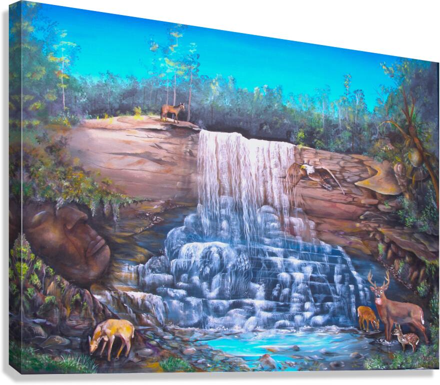 MoutainFaces copy Canvas Print