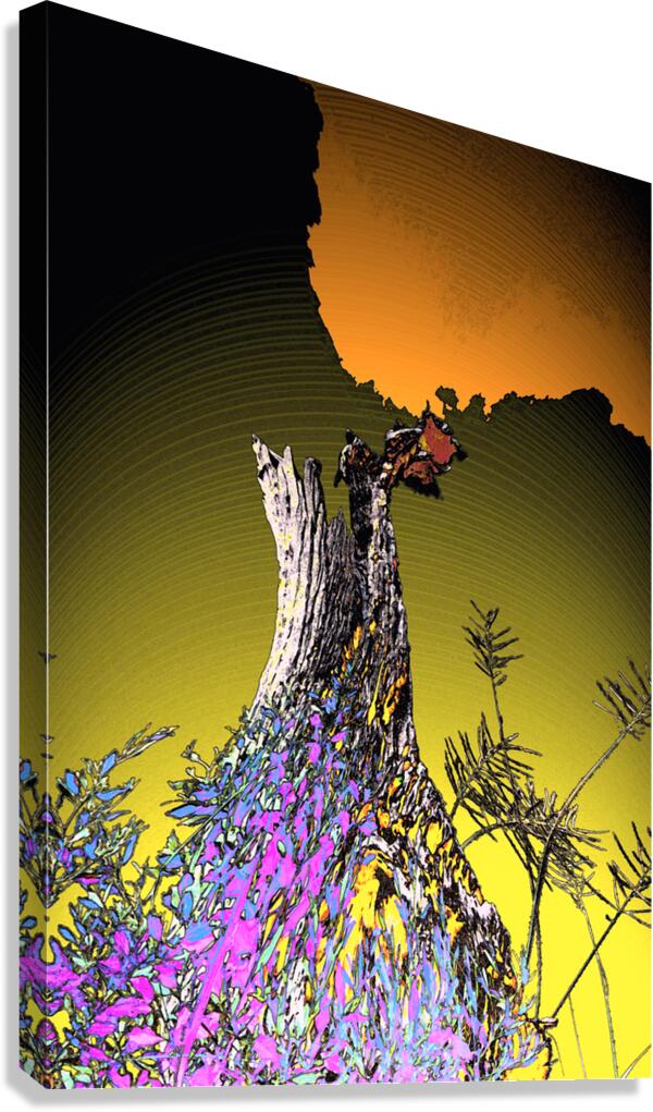 Universal Energy Canvas Print